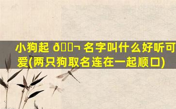 小狗起 🐬 名字叫什么好听可爱(两只狗取名连在一起顺口)